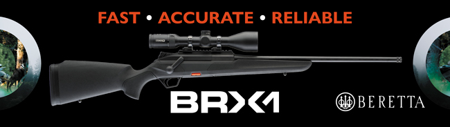 BRX1_650.jpg